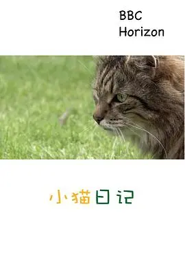 《地平线系列:小猫日记》:喵星人的暖心治愈日常