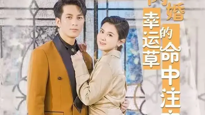 《闪婚幸运草》:命中注定的爱情,一场奇妙之旅!
