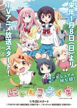 《猫咪days》:超萌短剧,人与猫的甜蜜日常,治愈你的心!